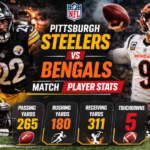 Pittsburgh steelers vs bengals match player stats all